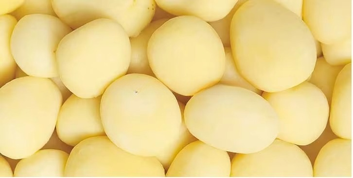 Fabrika Satışı, Otomatik, Tica - Commercial Potato Peeler Machine incelemesi ve fiyatı